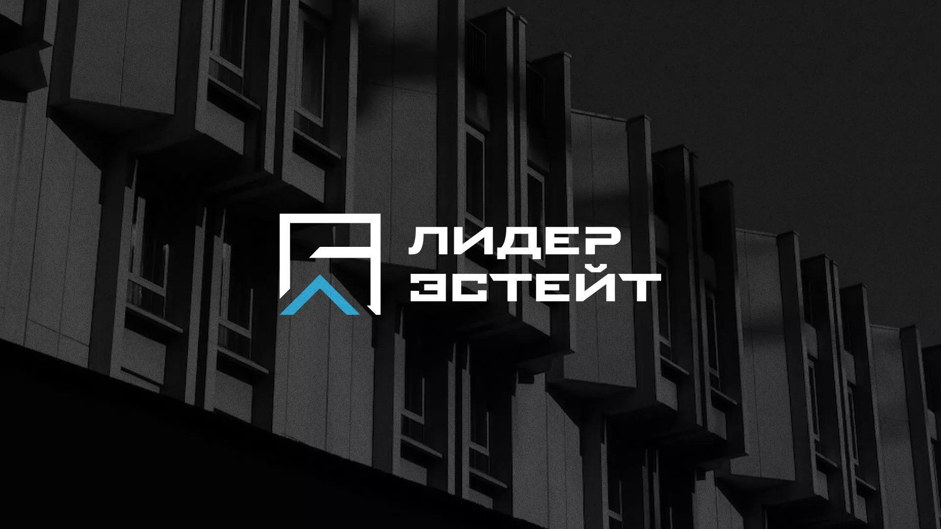 Разработка логотипа агентства недвижимости «Лидер Эстейт» в Рузаевке
